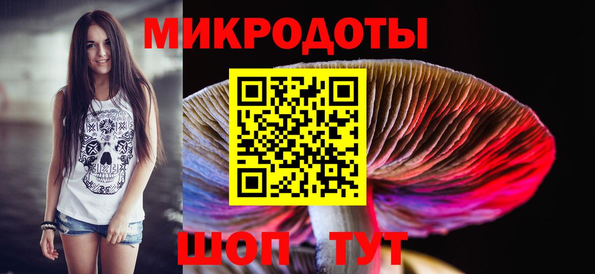 Камышин  Галлюциногенные грибы GOLDEN TEACHER  Вход с VPN  Псилоцибиновые грибы Magic Shrooms 