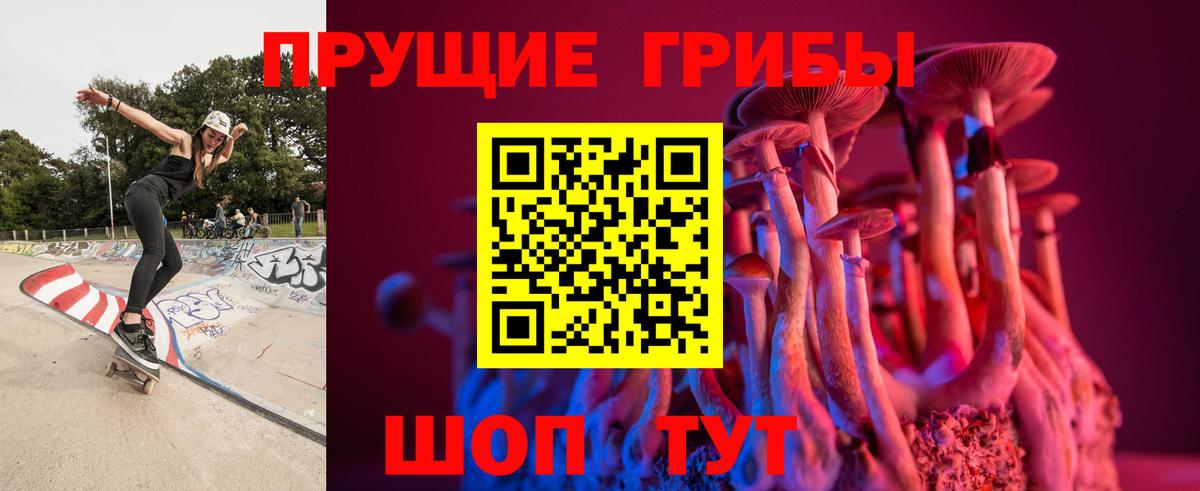 Галлюциногенные грибы Psilocybe Камышин